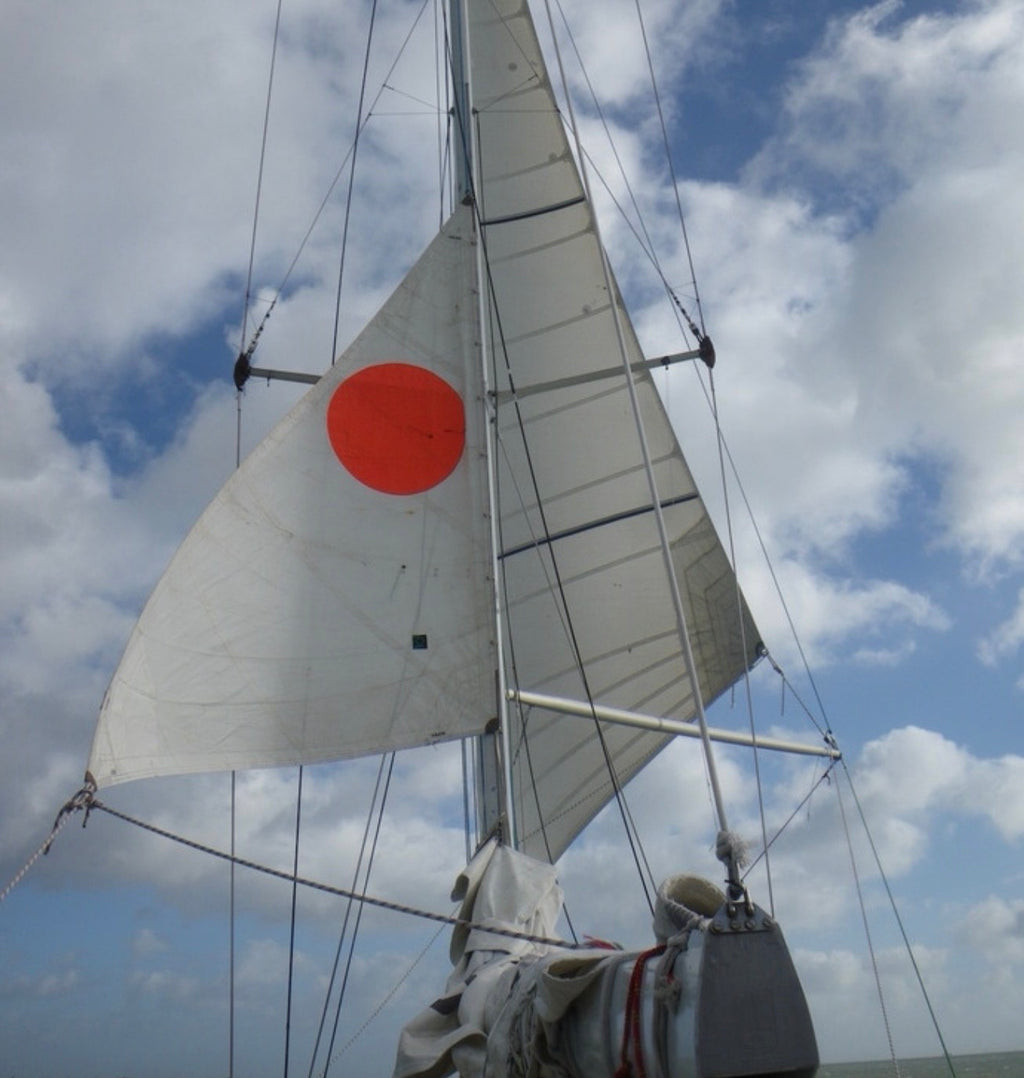 A spinnaker marked with an orange disc against the sky